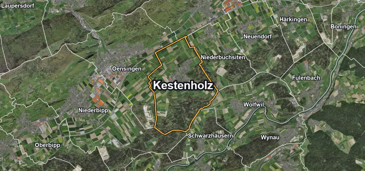 Luftbild von Kestenholz mit Gemeindegrenze, Nachbargemeinden und Solareignung der Dächer
